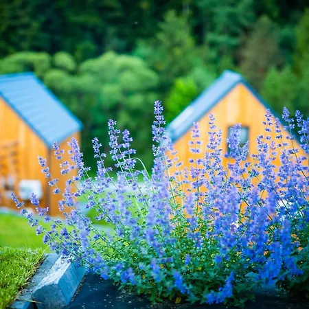 Gwiazda Mogielicy Basen & Balia, Sauna Holiday home Slopnice